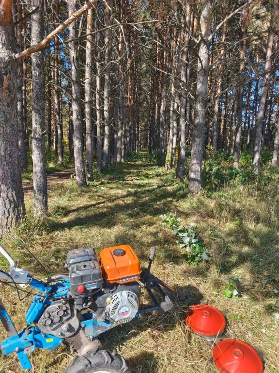 Общественное пространство — это мы — фото 1 из 3