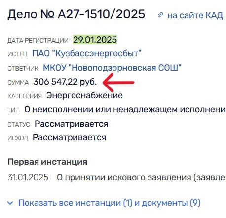 Школы и детские сады Тяжинского округа находятся под угрозой частичного отключения электроэнергии. На 2025 год почти все образовательные учреждения округа имеют долги перед энергос — фото 5 из 5