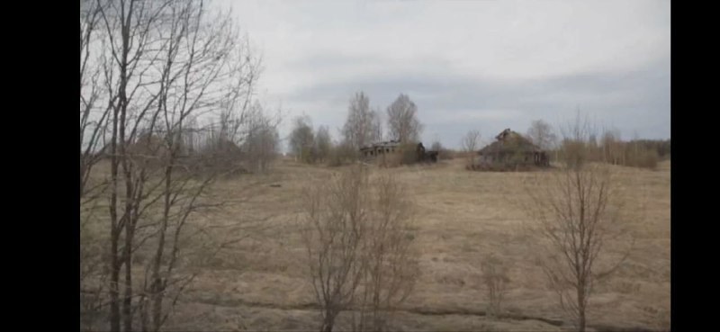 Трава забвения: штрафы пенсионерам убивают русскую деревню